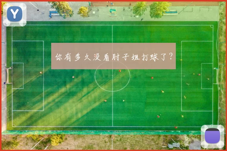 你有多久没看肘子姐打球了？